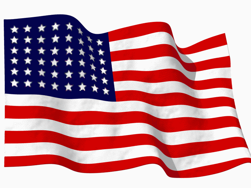 AMERİKA